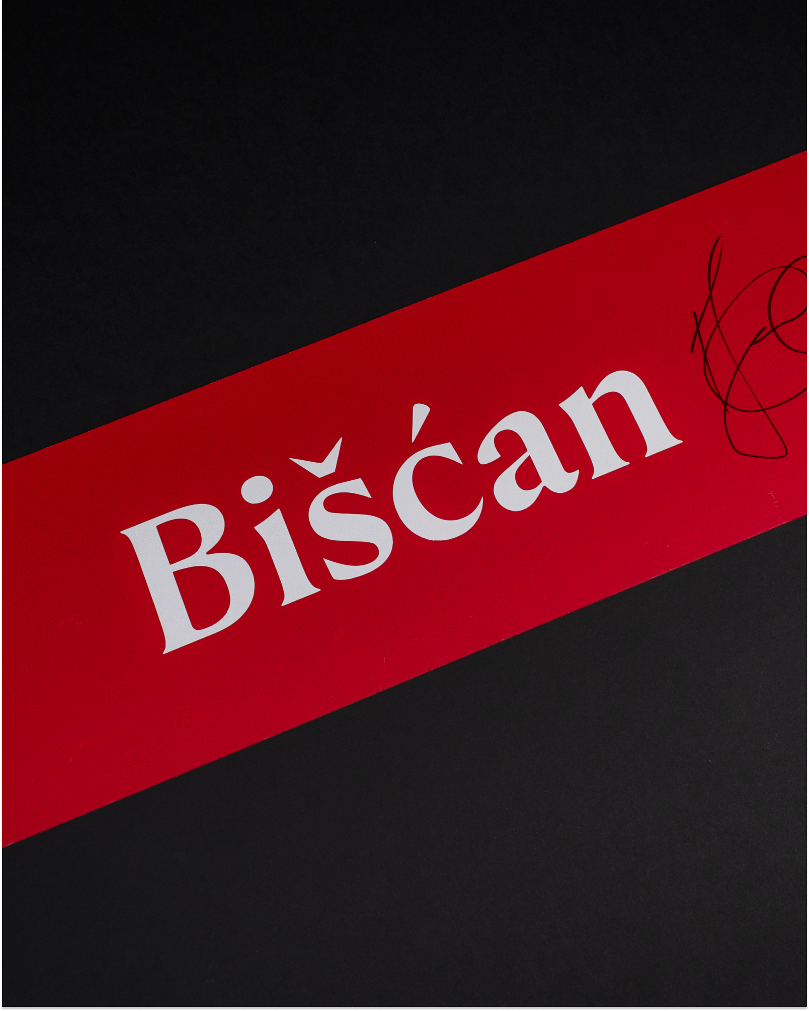 Igor Biscan