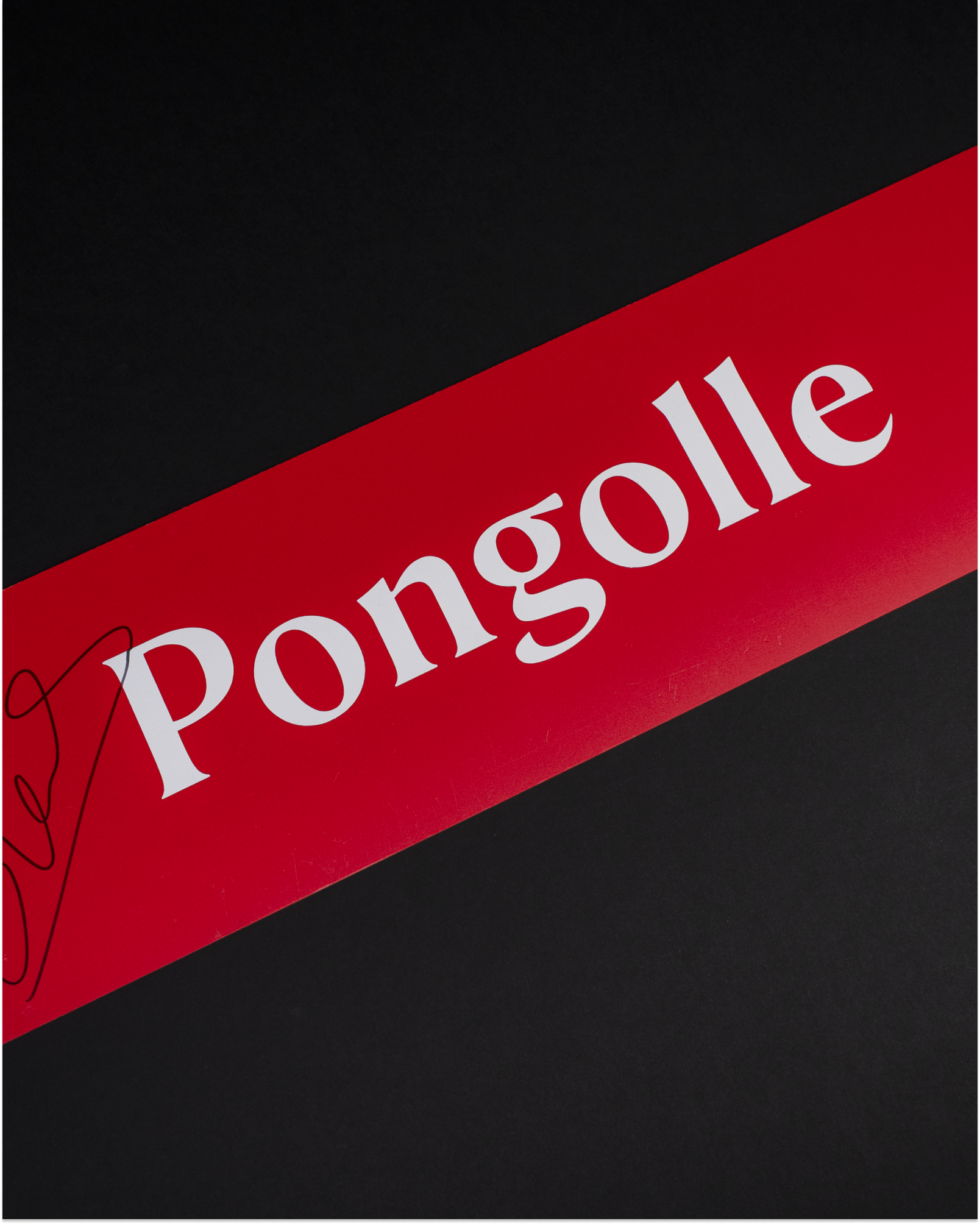 Florent Sinama-Pongolle