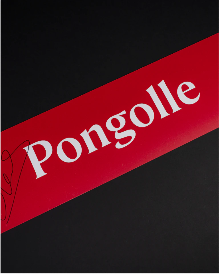 Florent Sinama-Pongolle