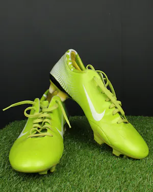Clint Dempsey