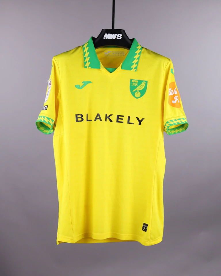 来自Norwich City的Harry Darling球衣