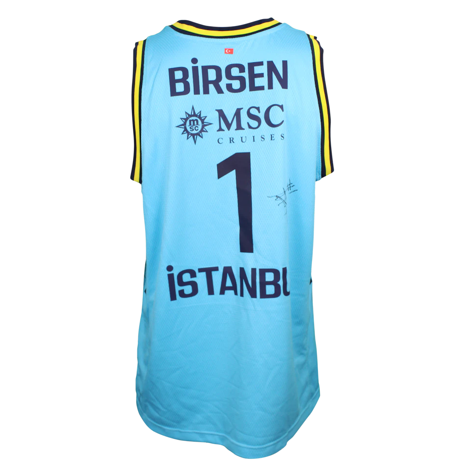 Metecan Birsen