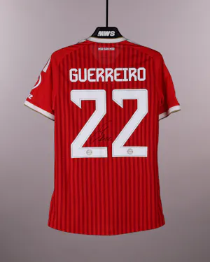 Raphaël Guerreiro