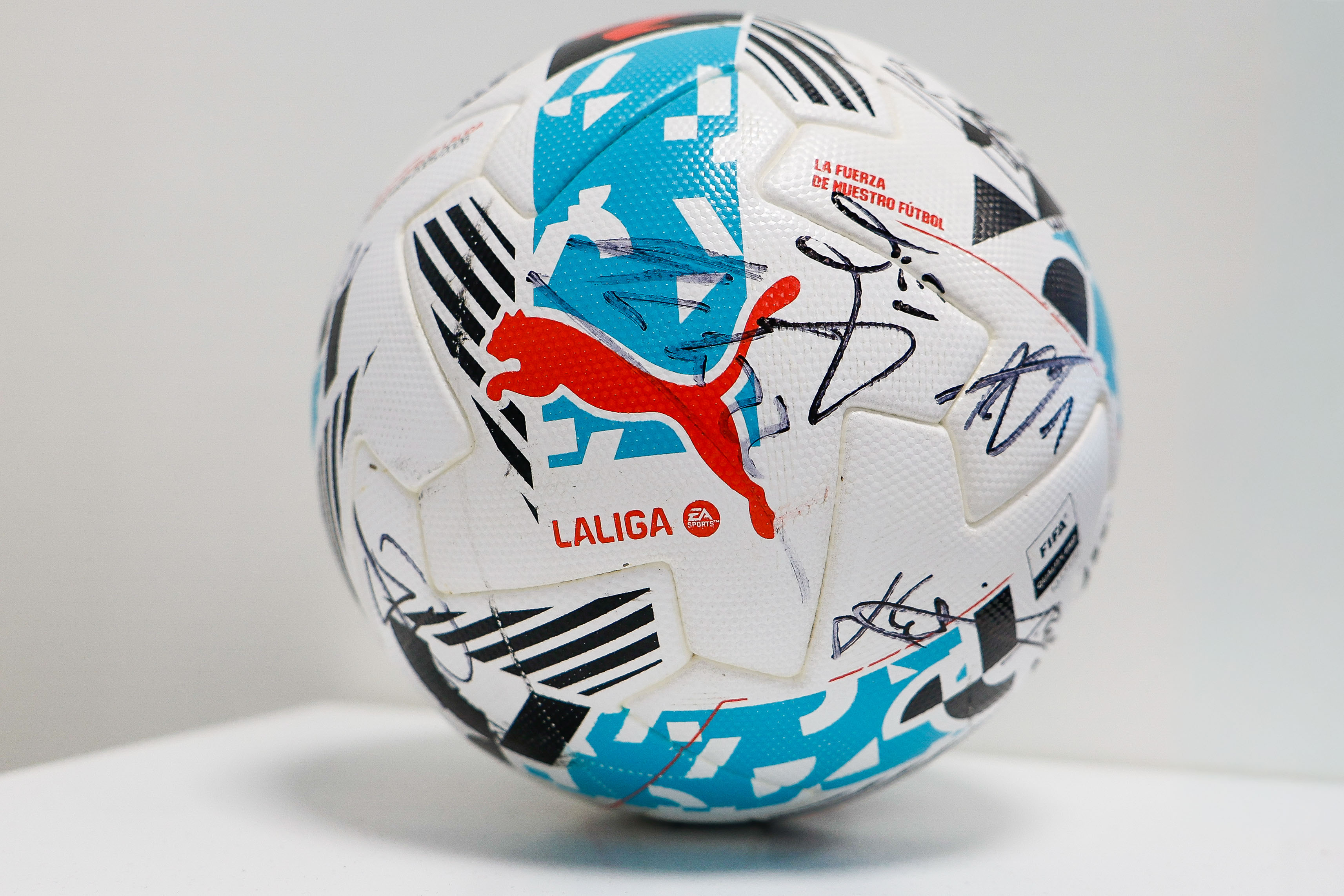 Squad and Coach Signed Ball | MatchWornShirt