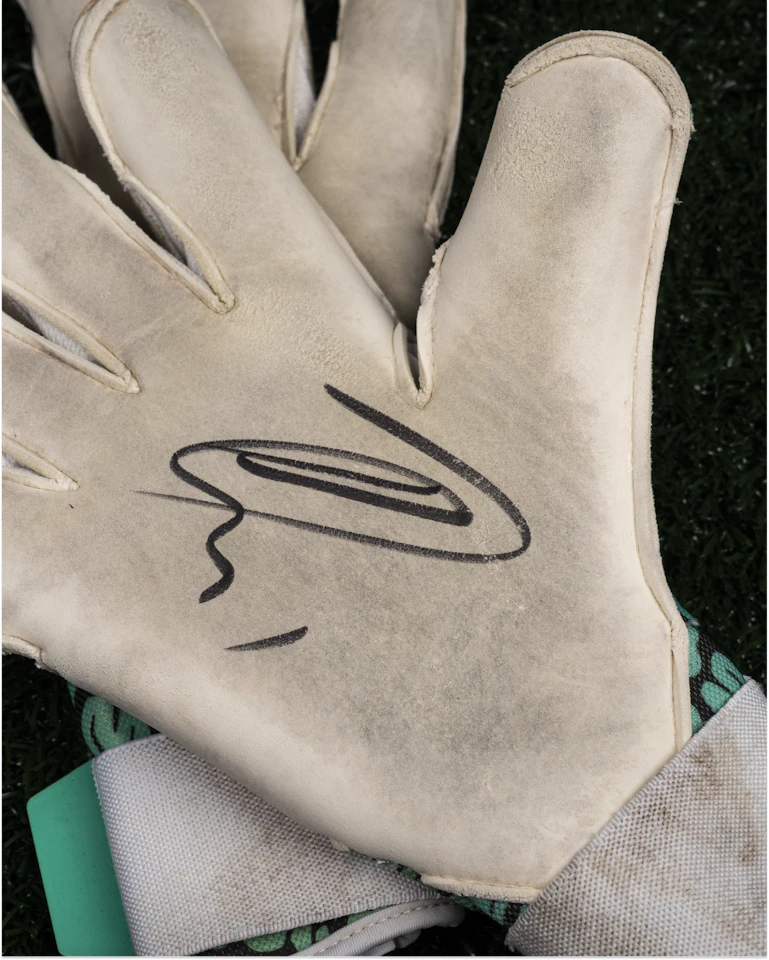 Dimitar Mitov Gloves