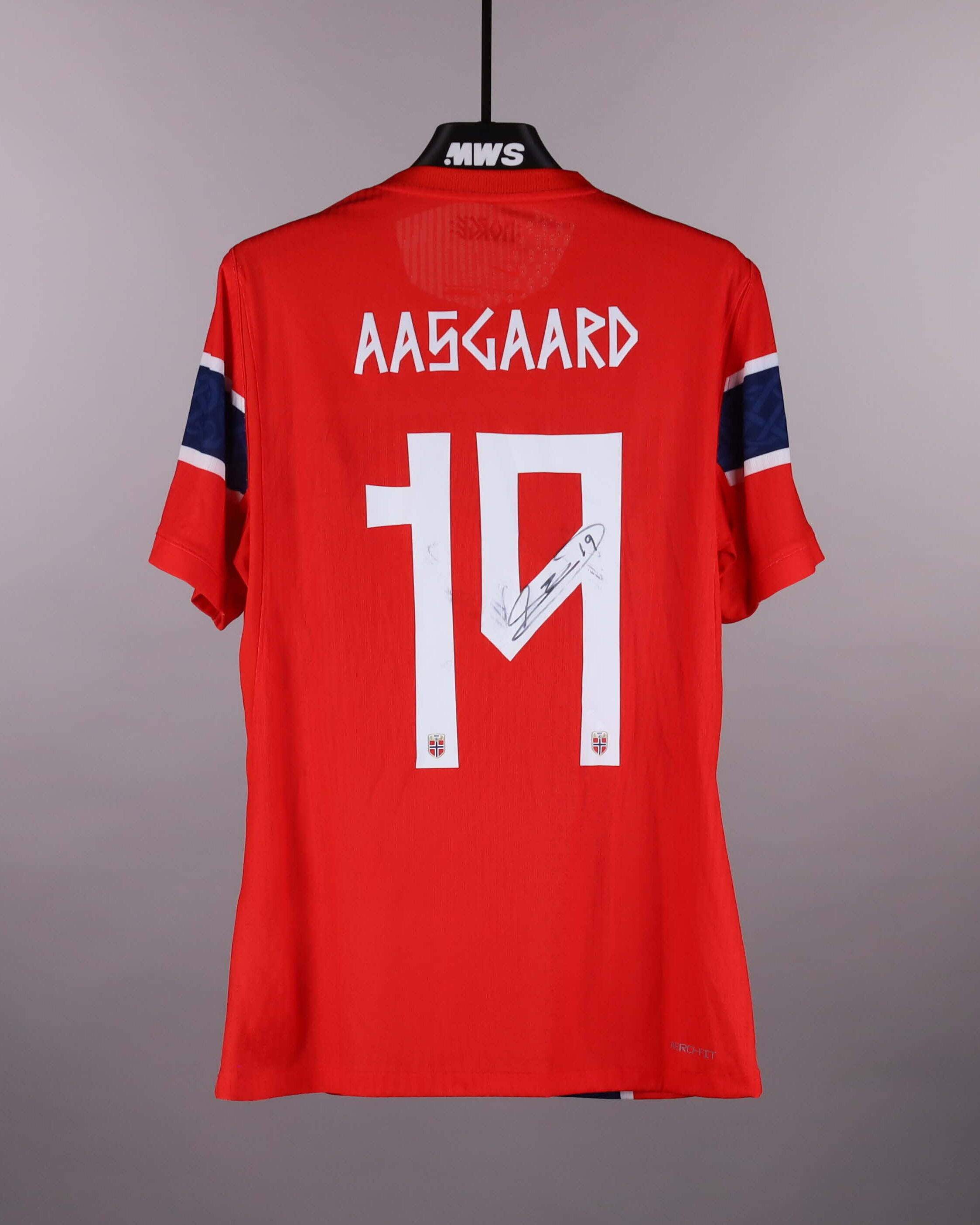 Thelo Aasgaard | Norway - Sweden | MatchWornShirt