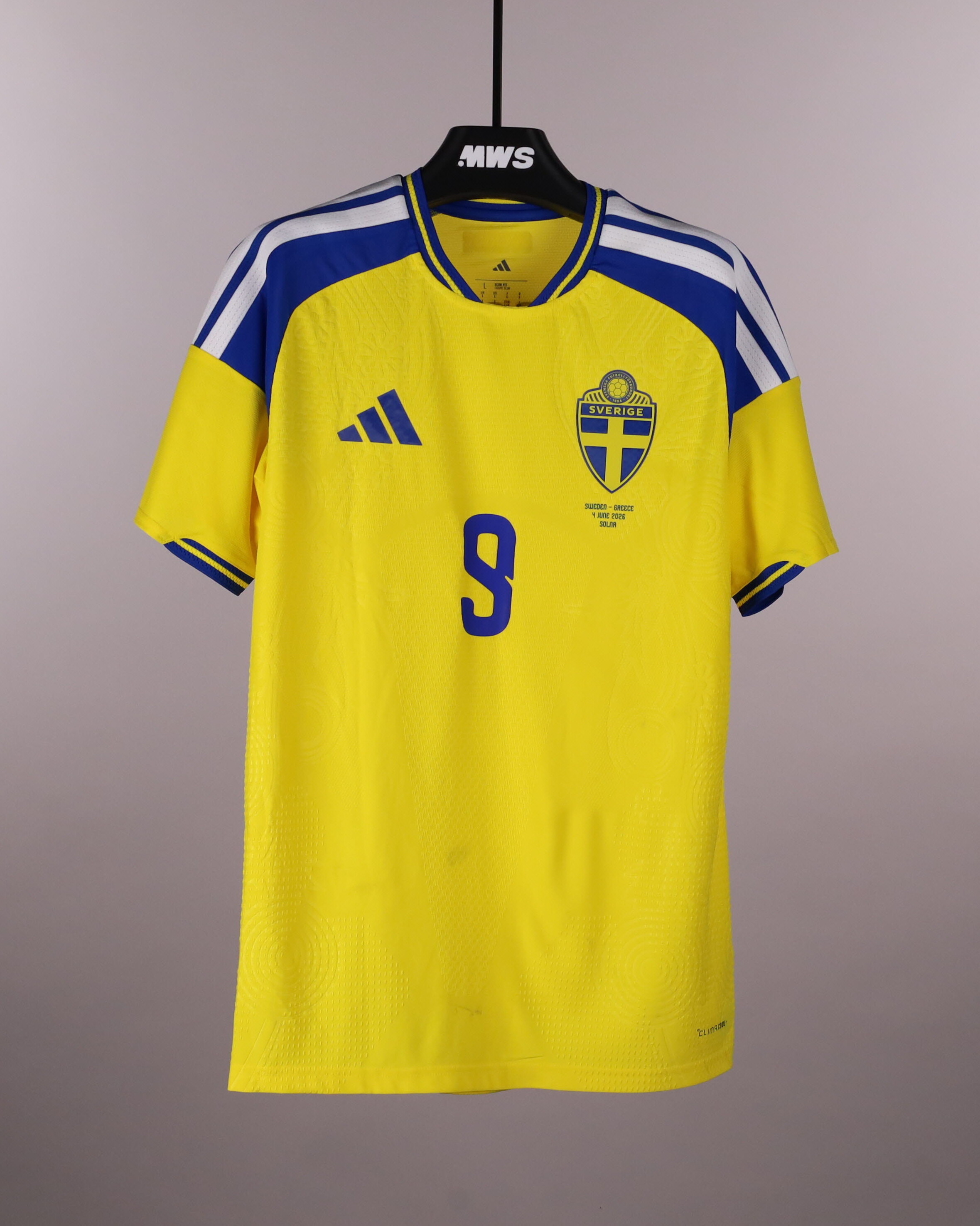 Alexander Isak | Sweden - Greece | MatchWornShirt