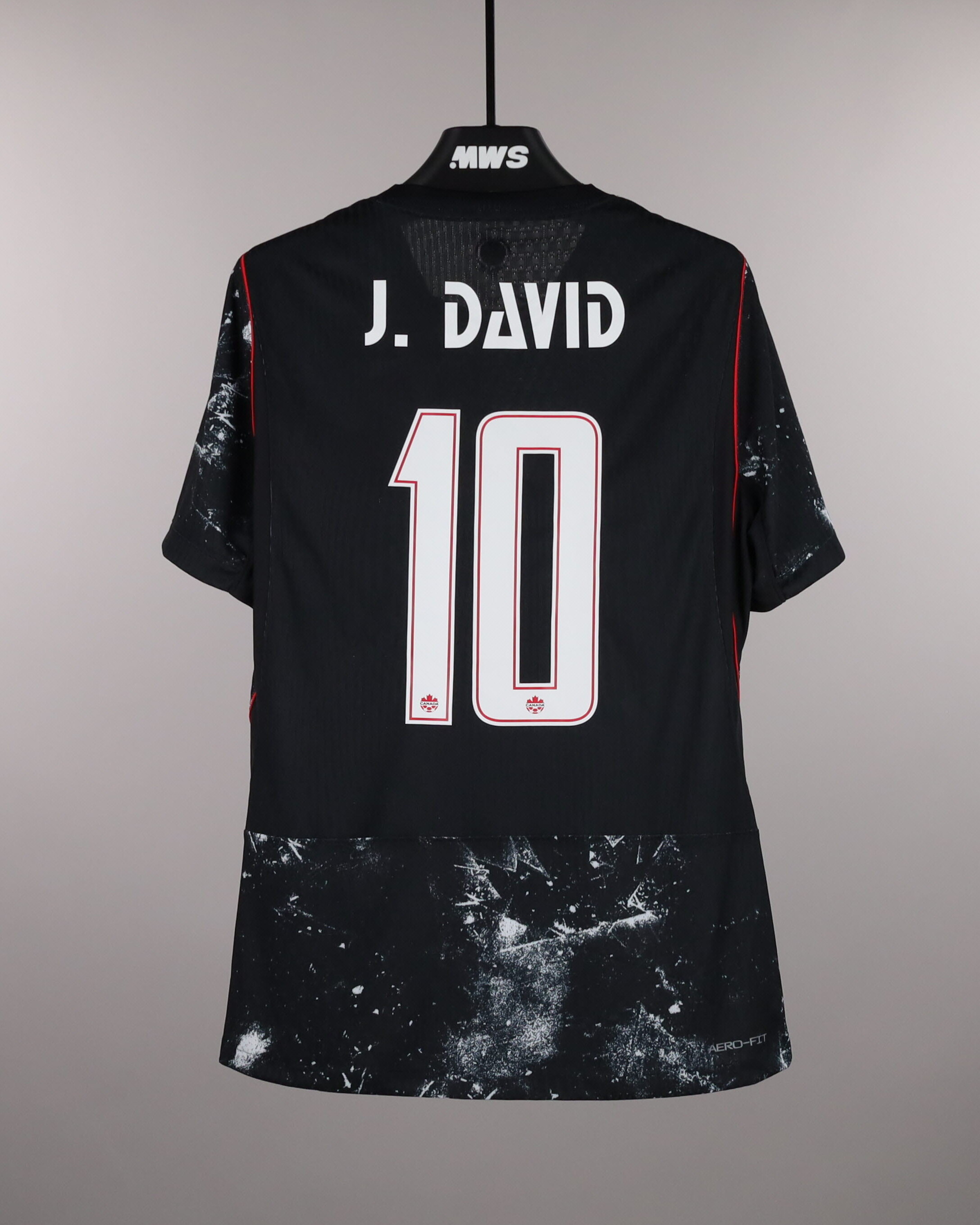Jonathan David | Canada - Republic of Ireland | MatchWornShirt