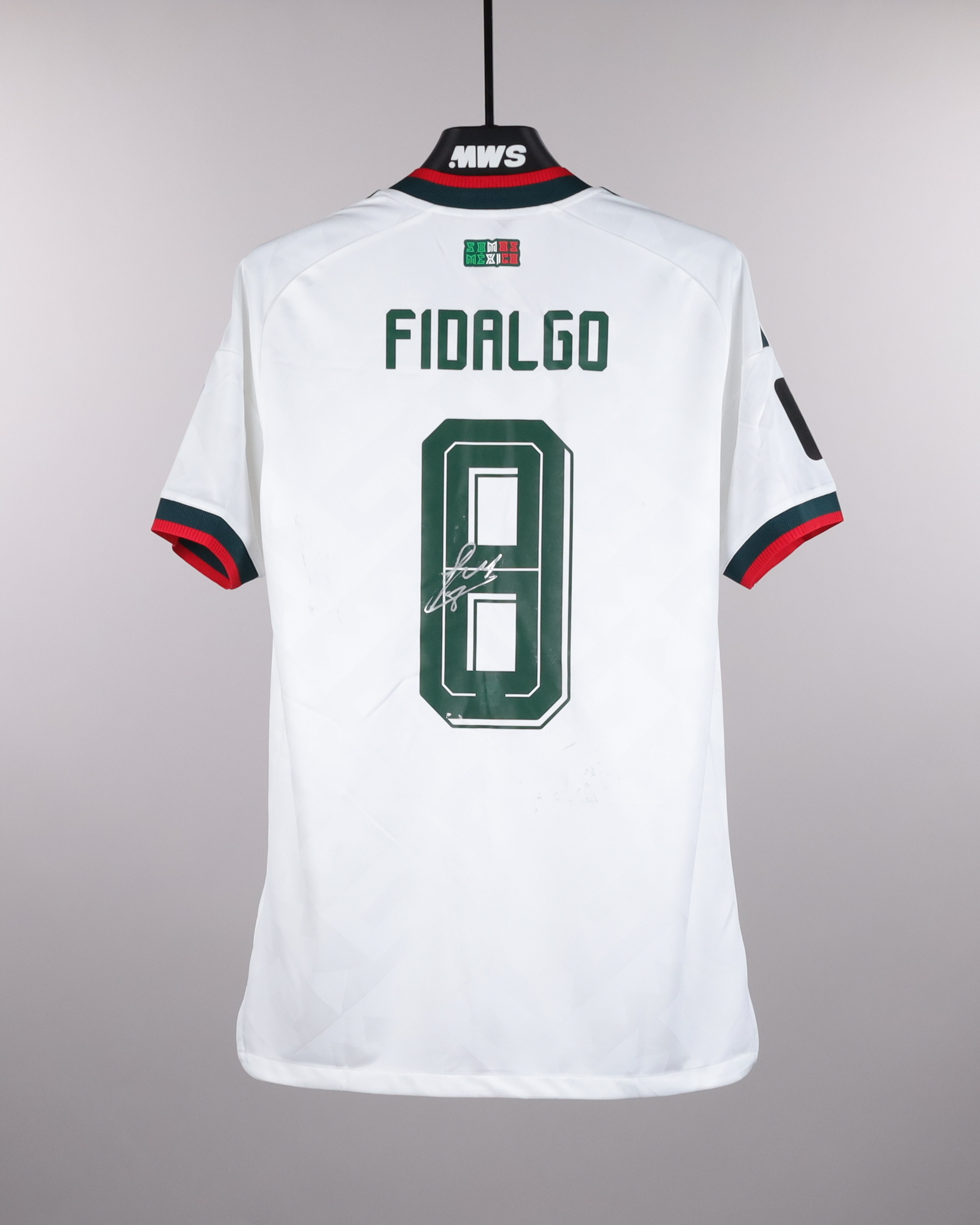 Álvaro Fidalgo | Mexico