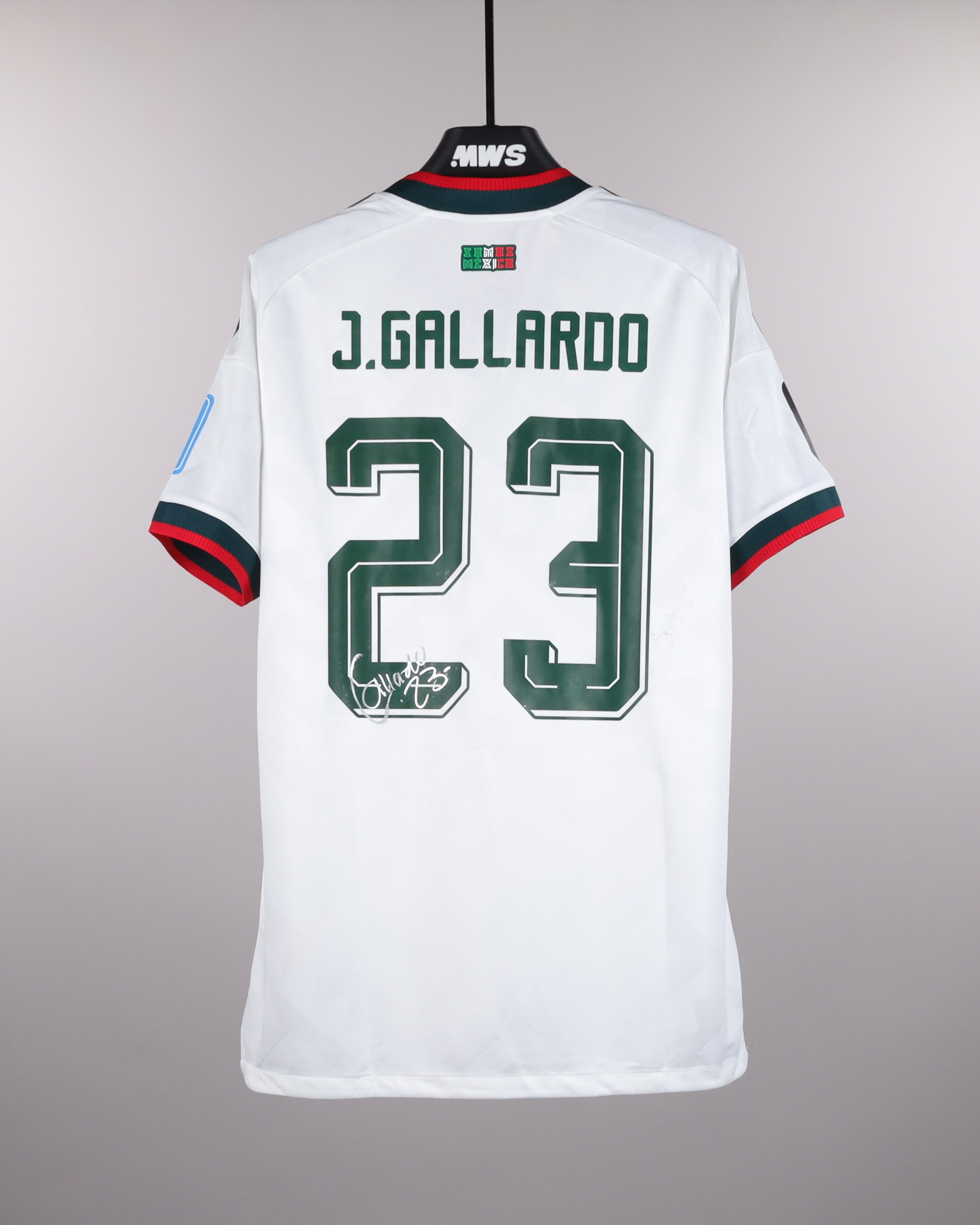 Jesús Gallardo | Mexico