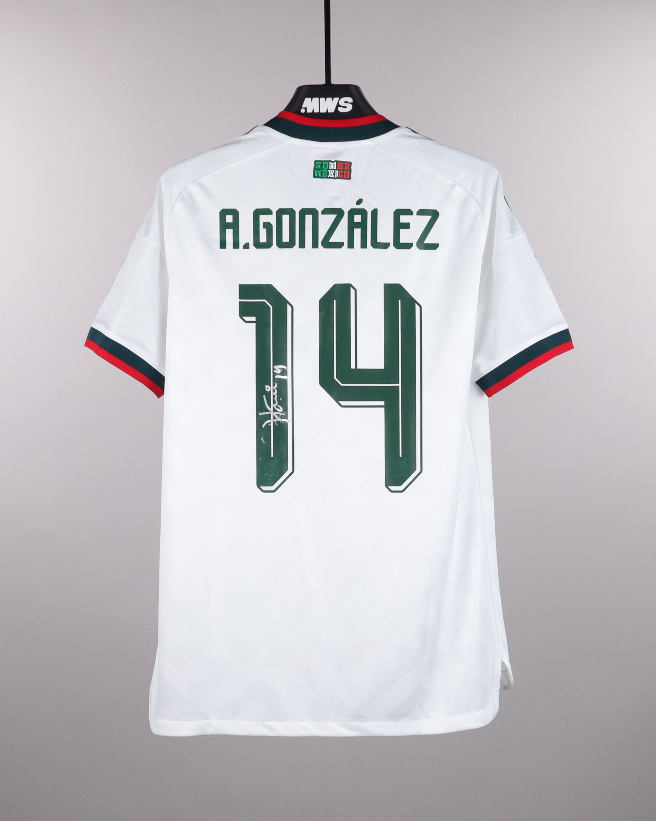 Armando González | Czechia - Mexico | MatchWornShirt