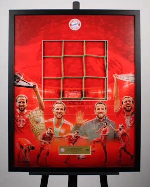 Limited Edition Framed Goalnet | Werder Bremen vs Bayern München