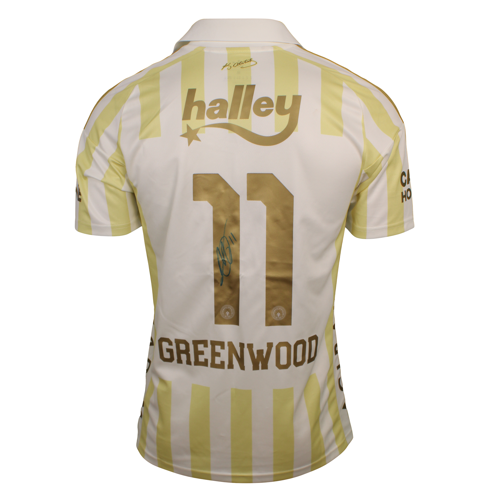 Mason Greenwood Fenerbahçe shirt