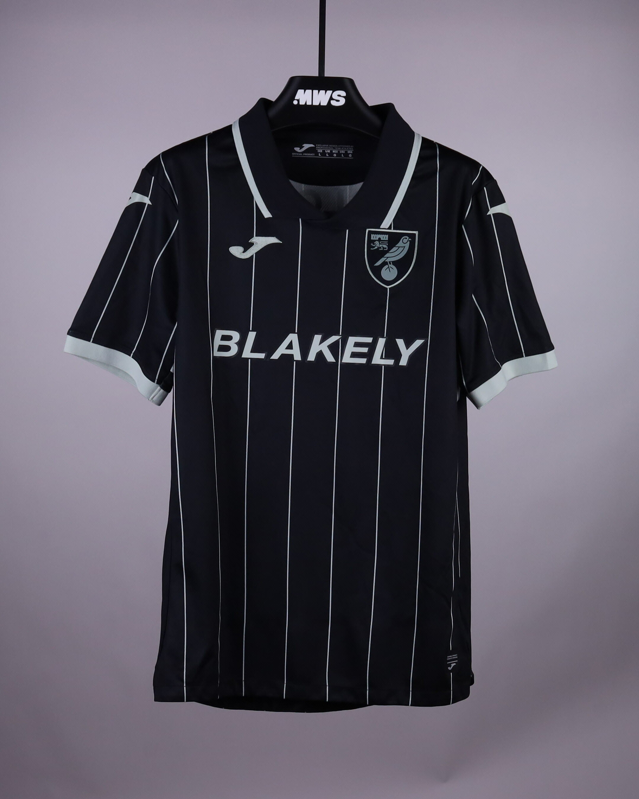 Pelle Mattsson Norwich City jersey
