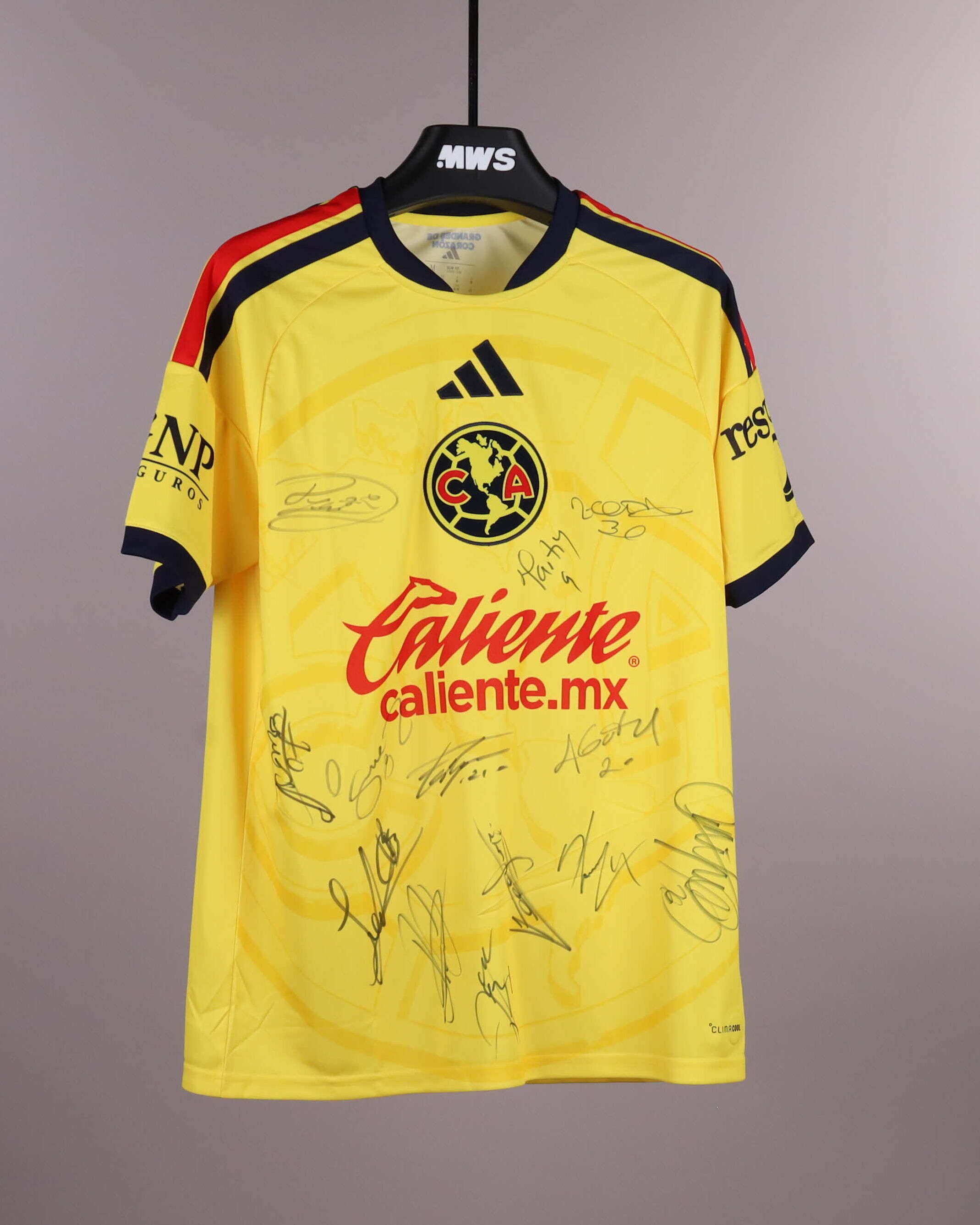 Squad Signed Shirt Club América shirt