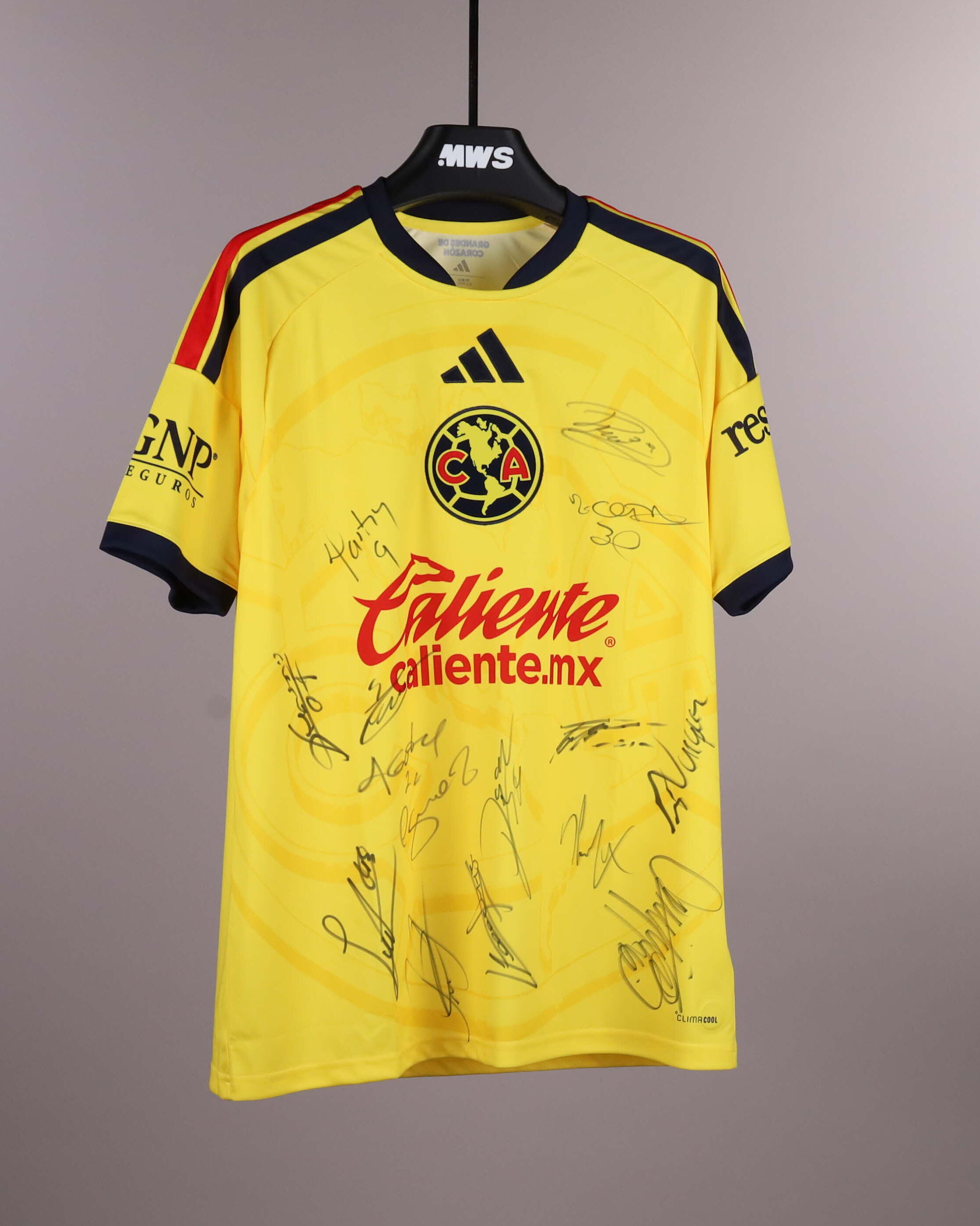 Squad Signed Shirt Club América shirt