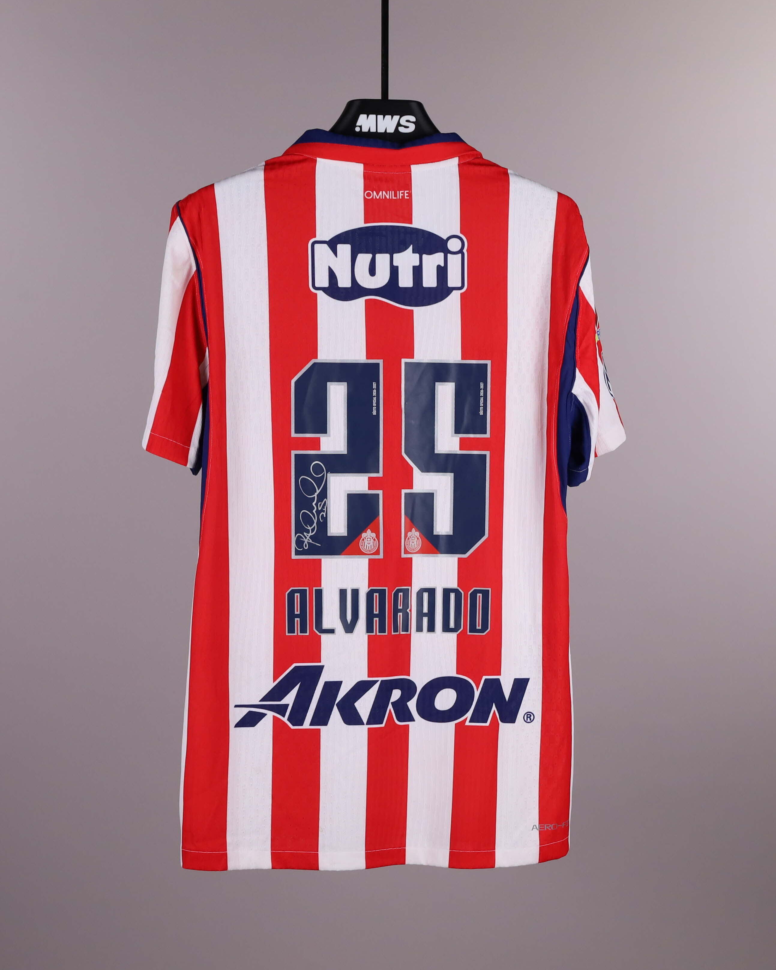 Roberto Alvarado Chivas Guadalajara jersey