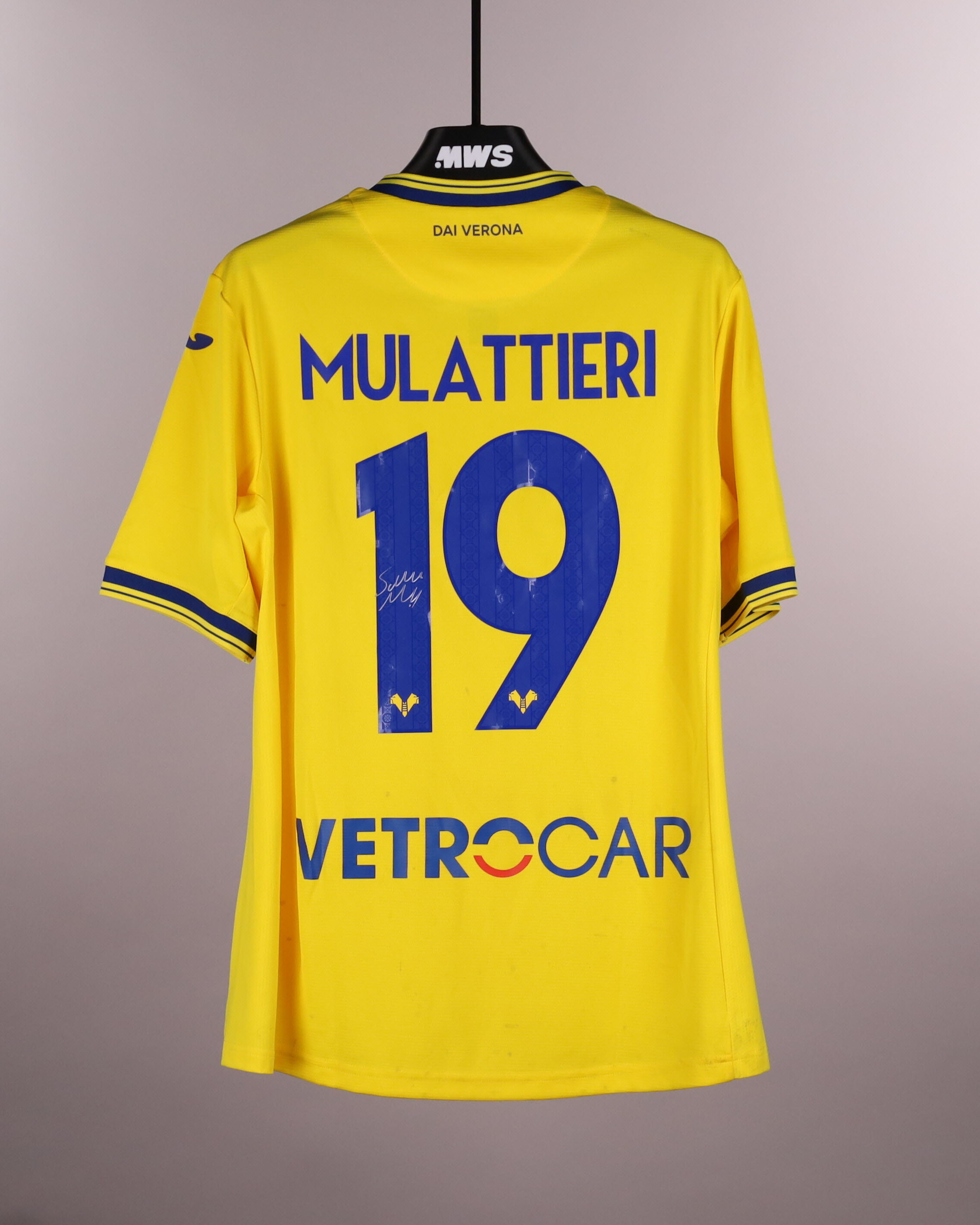 Official Hellas Verona FC Soccer Game-Worn Jerseys Auctions