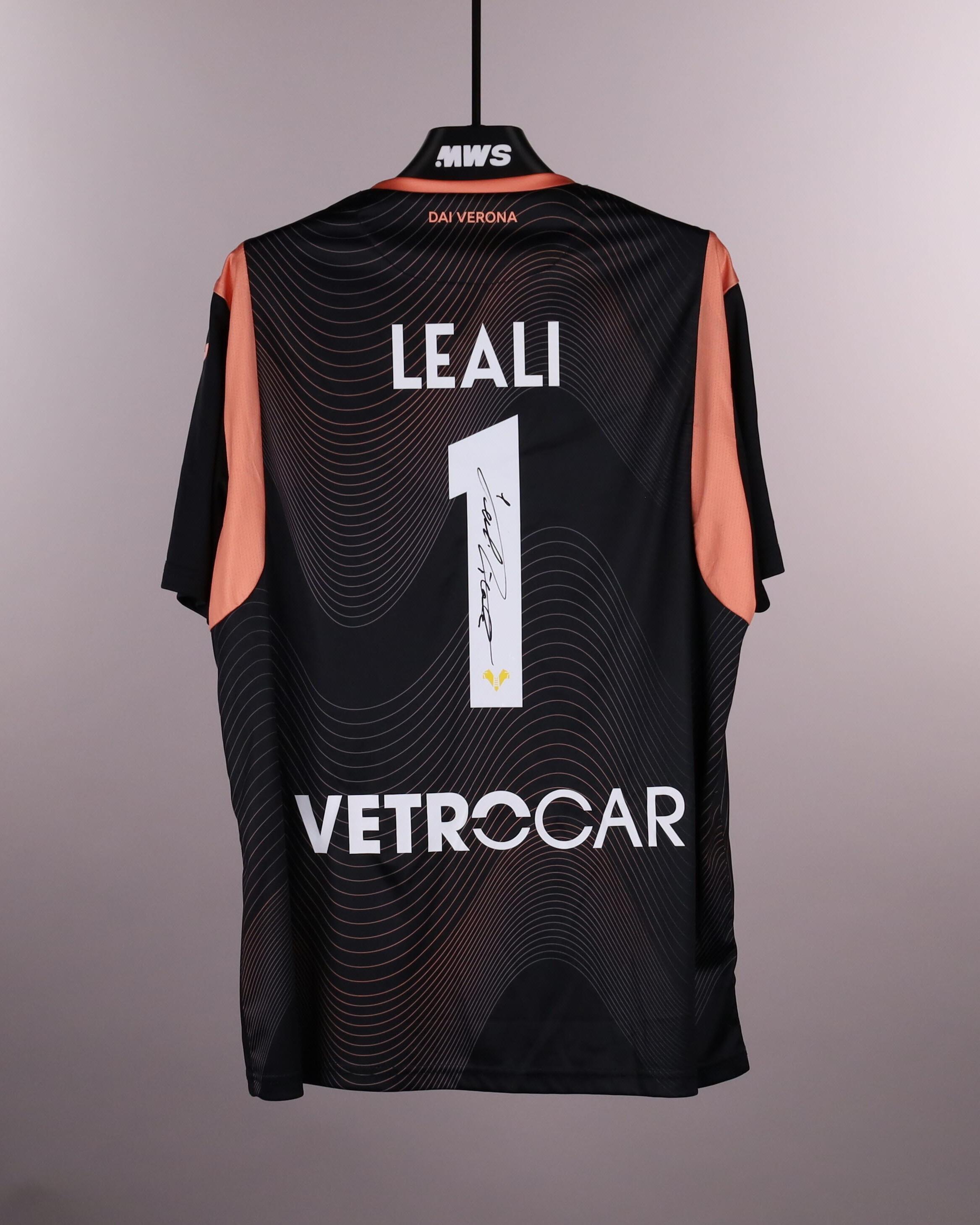 Nicola Leali Hellas Verona FC jersey