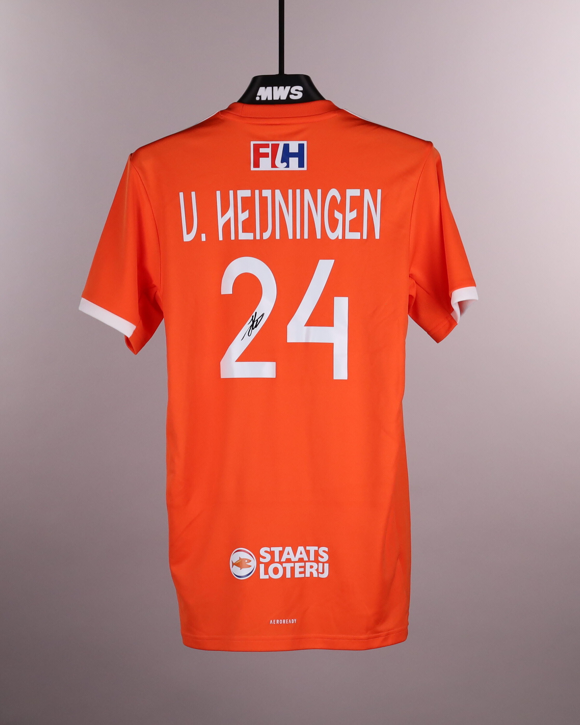 Steijn van Heijningen