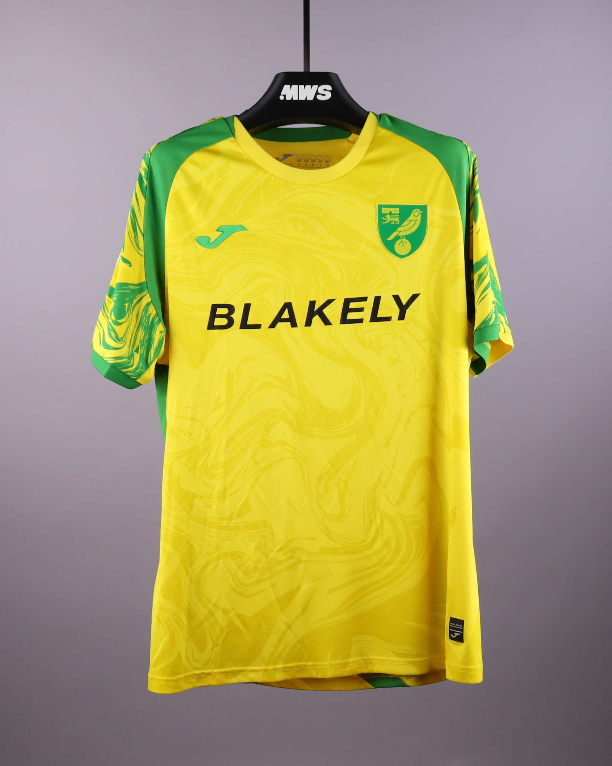 Benjamin Chrisene Norwich City jersey