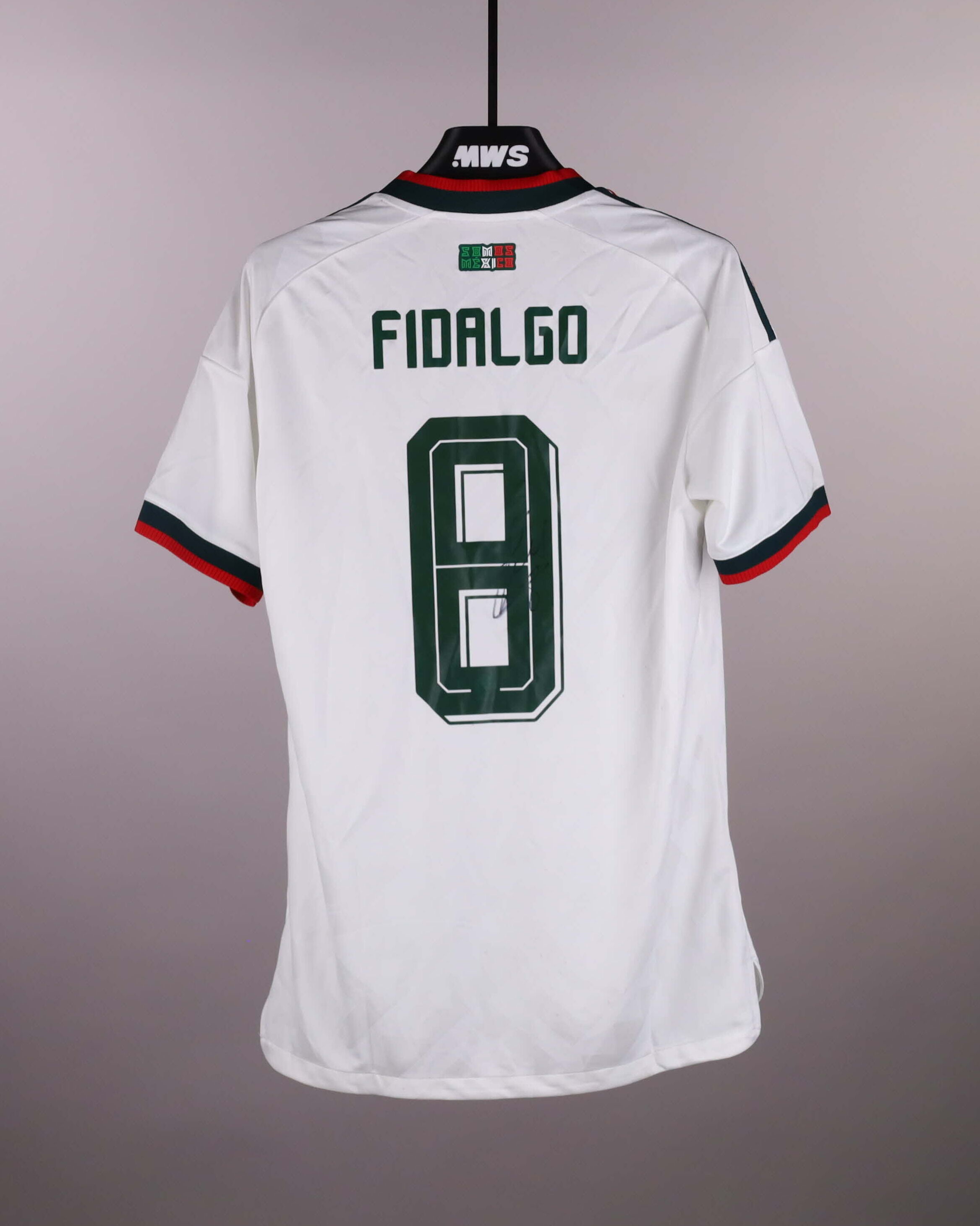 Álvaro Fidalgo Mexico jersey