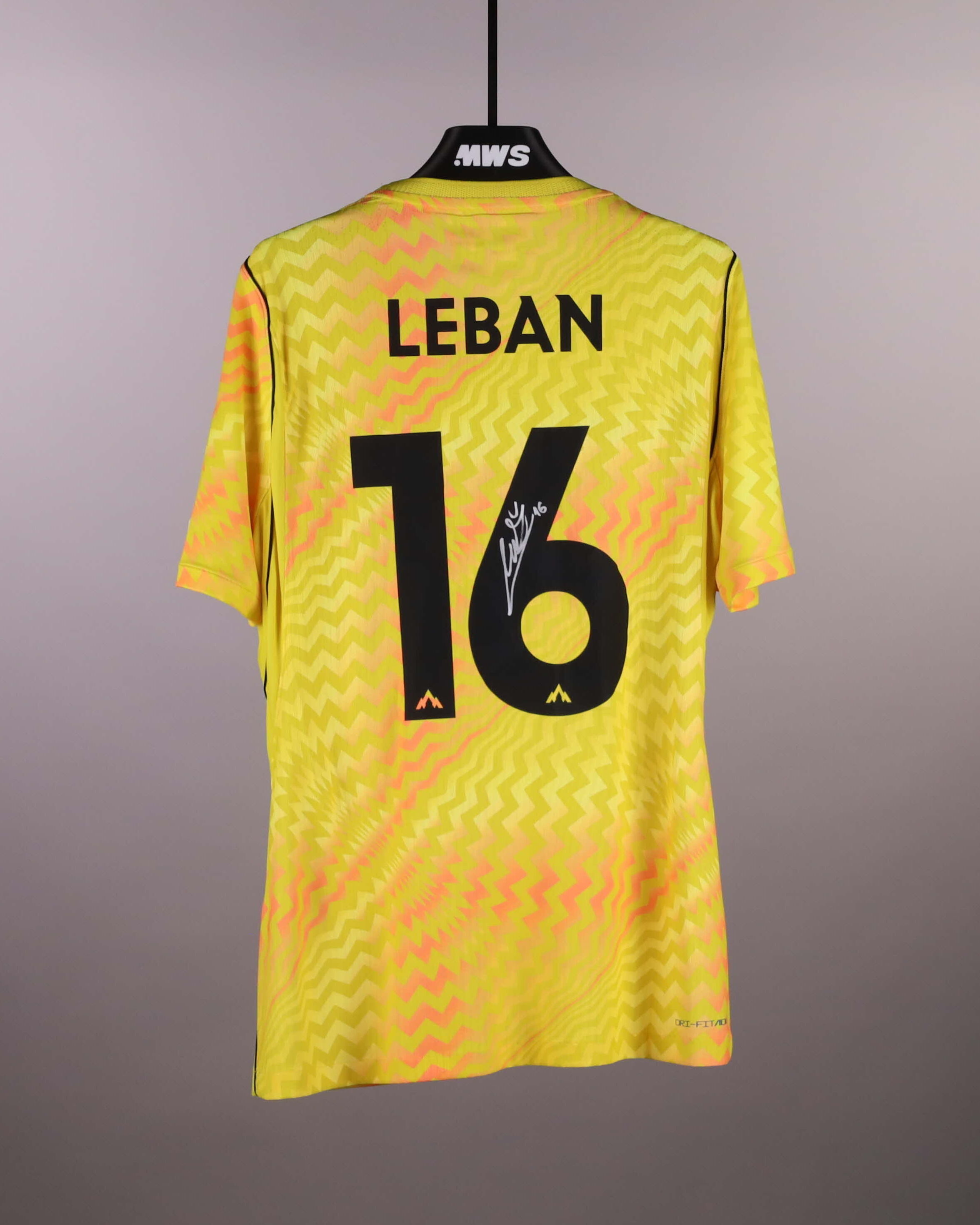 Žan Luk Leban Slovenia jersey