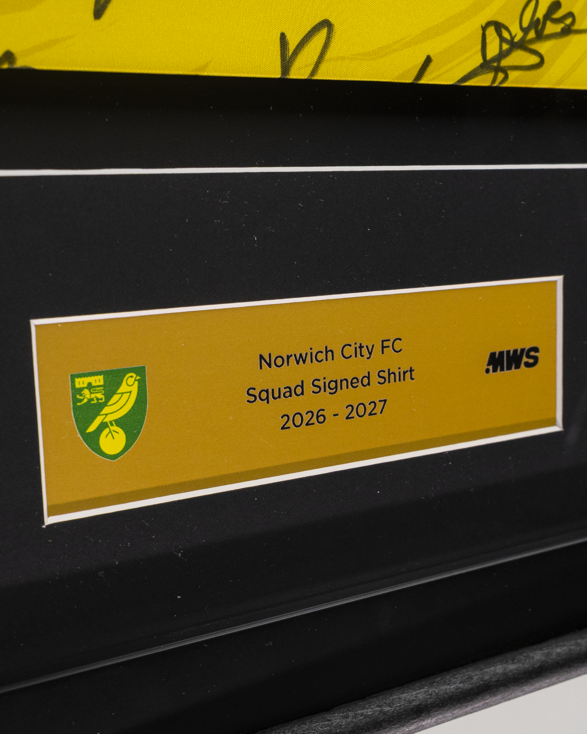 Squad Signed Norwich City Home Shirt 26/27